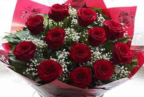 Alt Image Text: "A stunning bouquet of a dozen red roses, perfect for expressing love and affection."