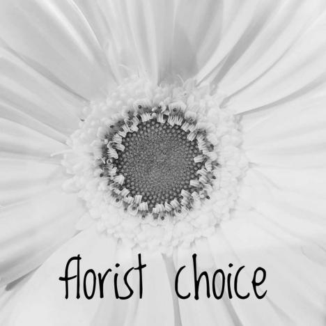 Florist's Choice - Arrangement